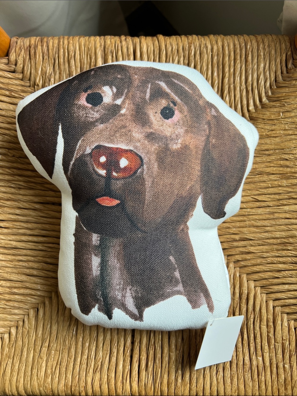 Brown Labrador accent pillow